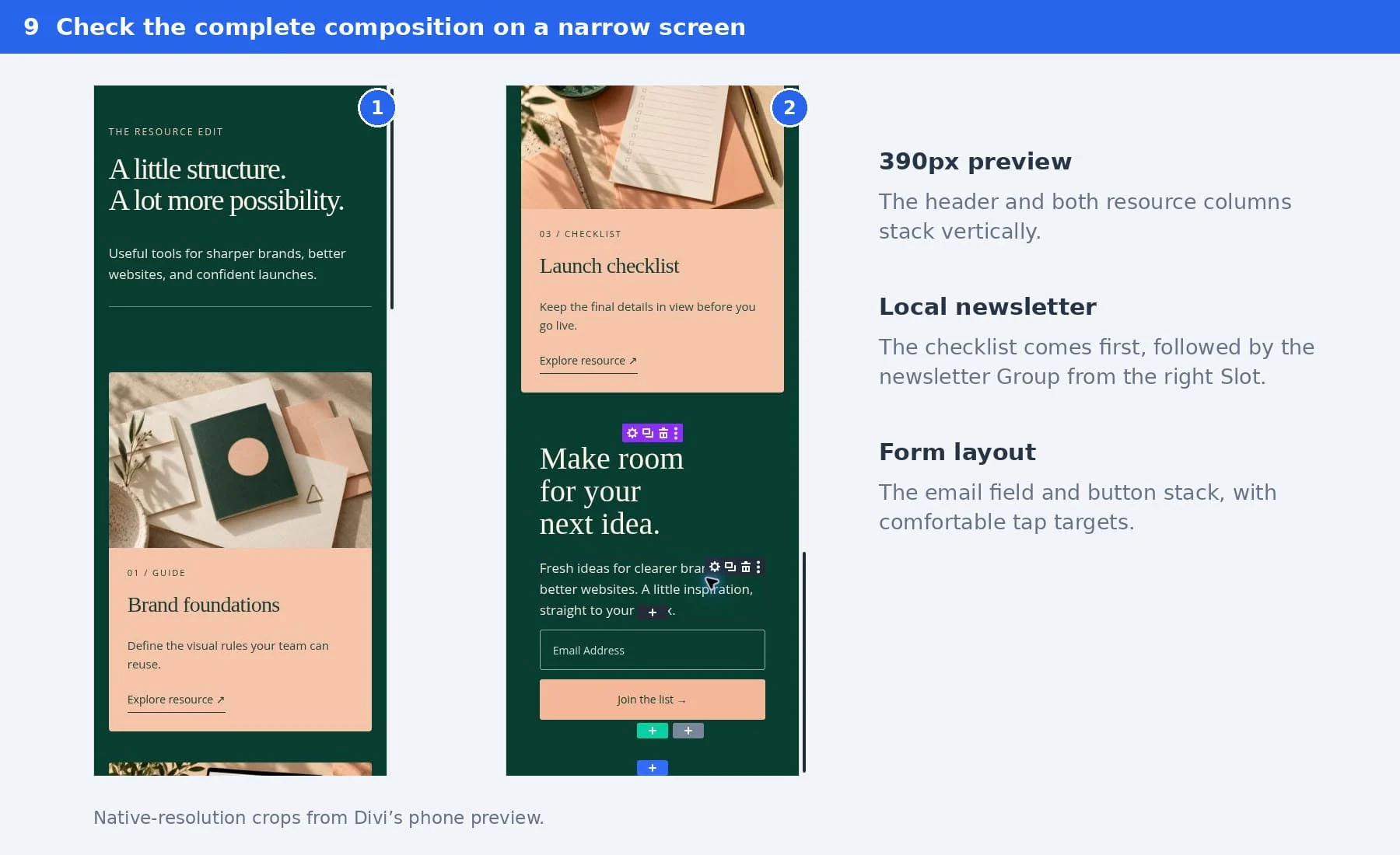 390px Divi phone preview showing stacked header and resource cards, followed by the newsletter and stacked form controls.