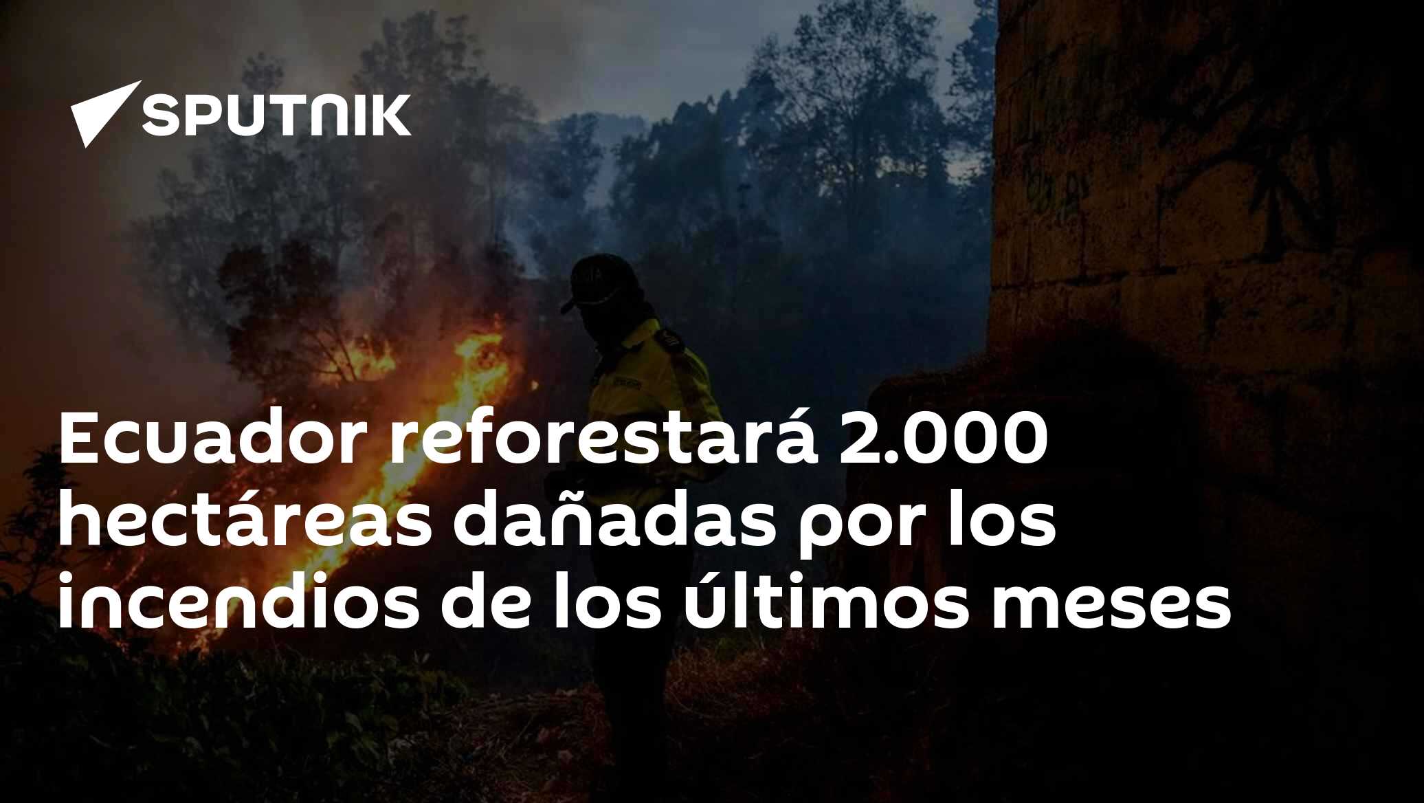 Ecuador reforestará 2.000 hectáreas dañadas por los incendios de los últimos meses