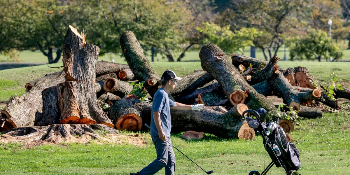 Trump to close DC golf course for renovations citing ‘disease infested trees’ despite order to halt