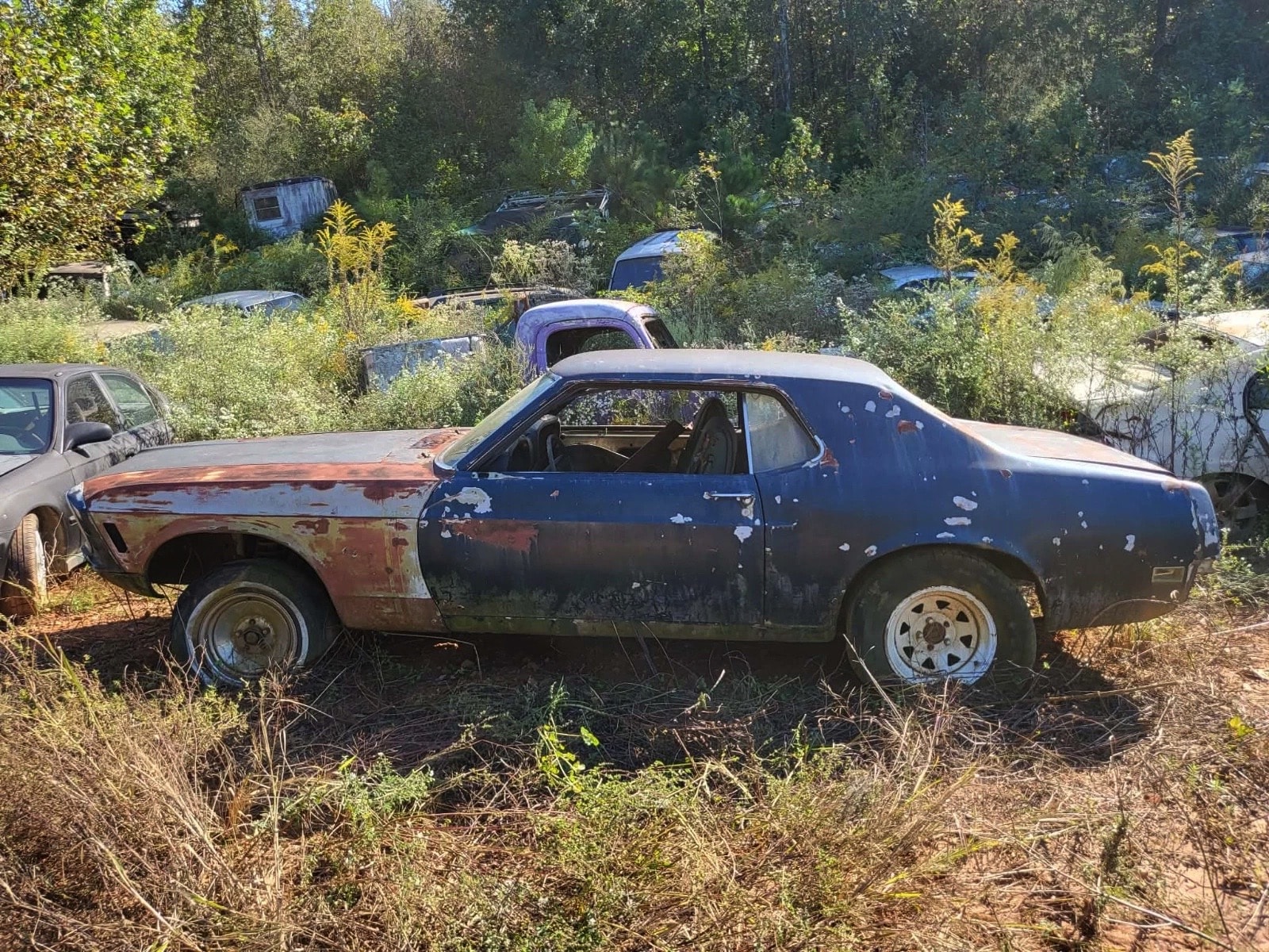 1970 Mustang Emerges From a Junkyard, Owner Has Bad News: Parked Outside for an Extended Period