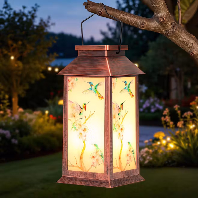 OxyLED Solar Lantern 