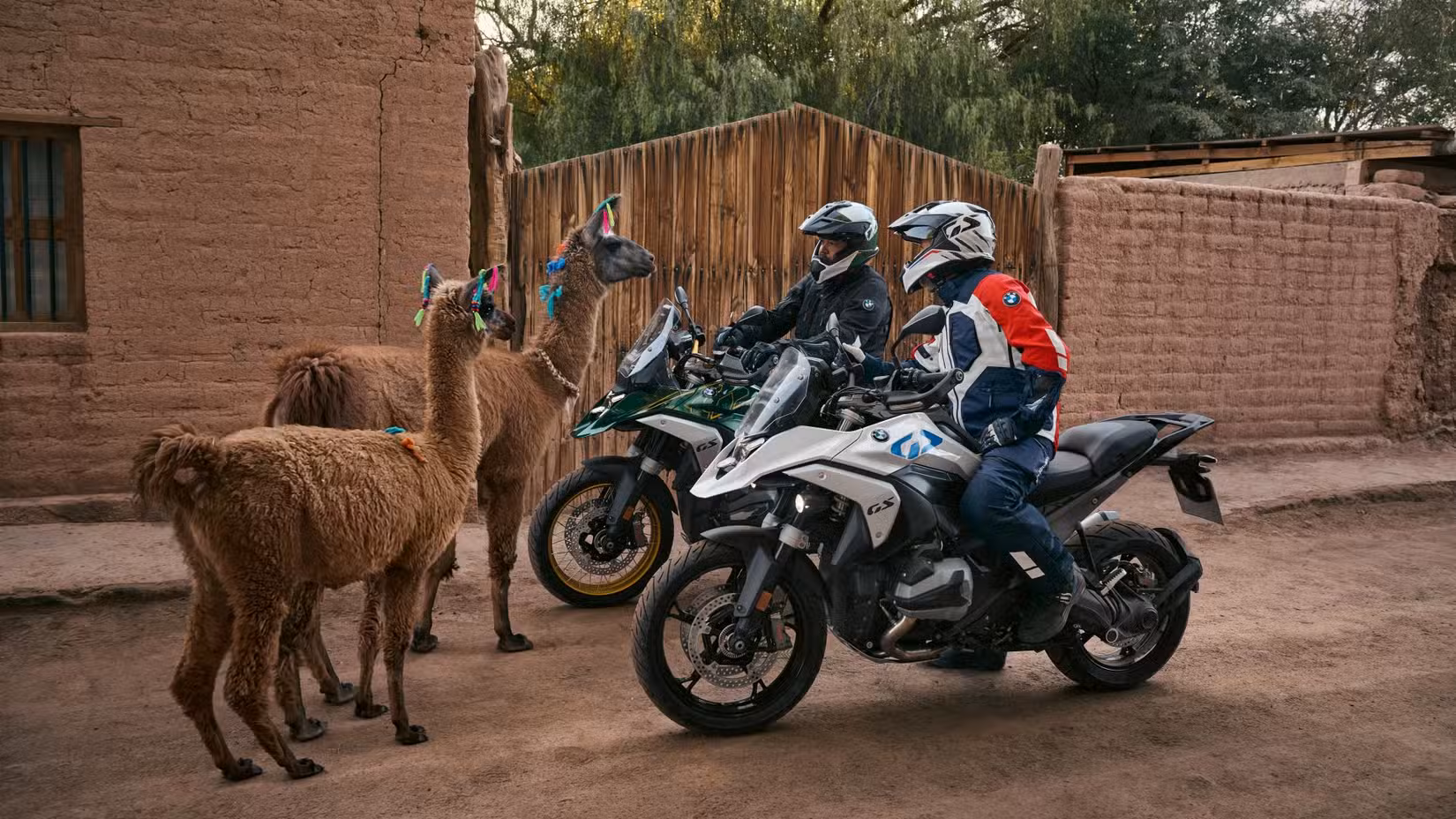two riders on 2023 BMW R 1300 GS looking at two llamas