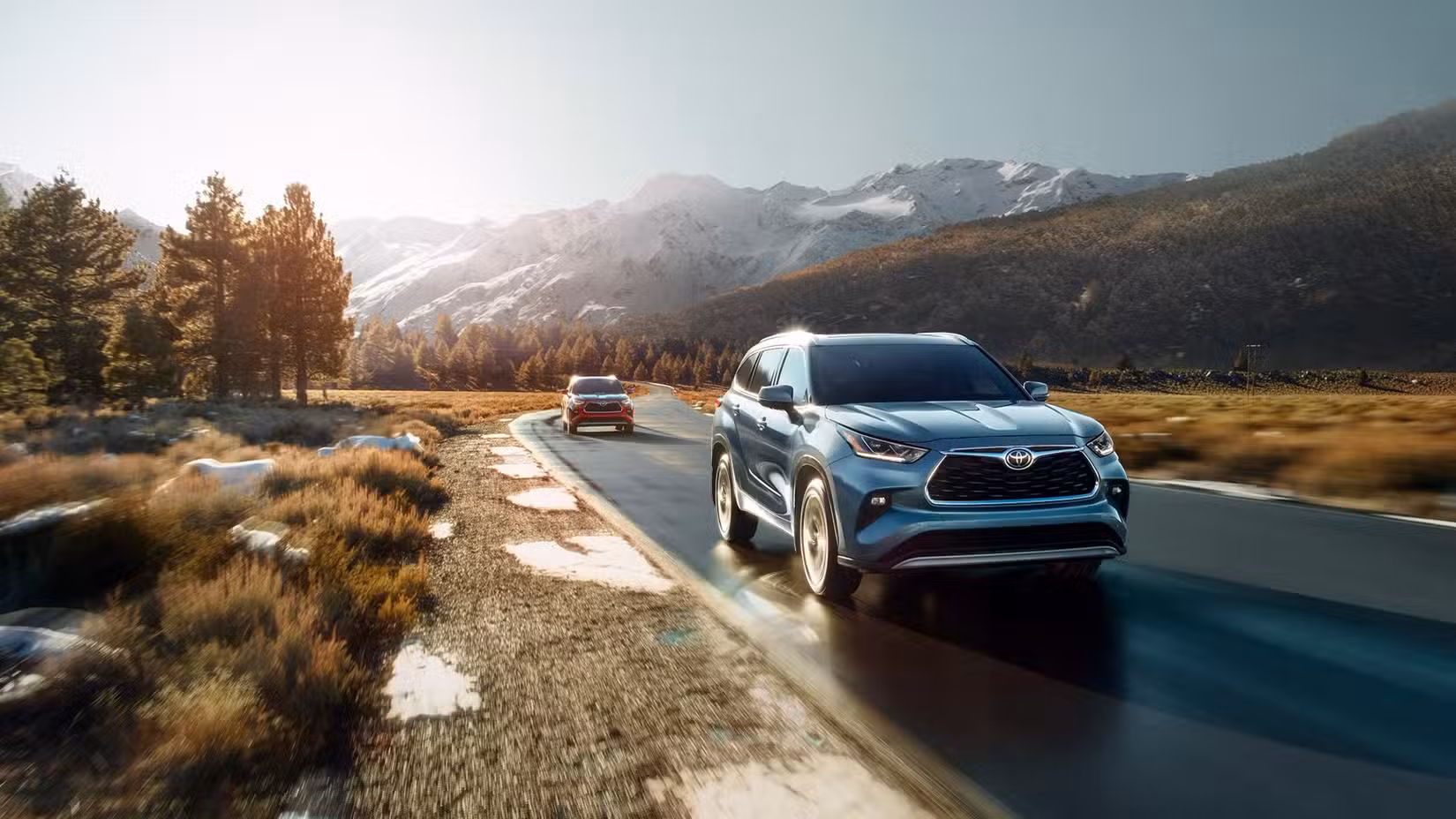 Two 2024 Toyota Highlander Hybrids Driving