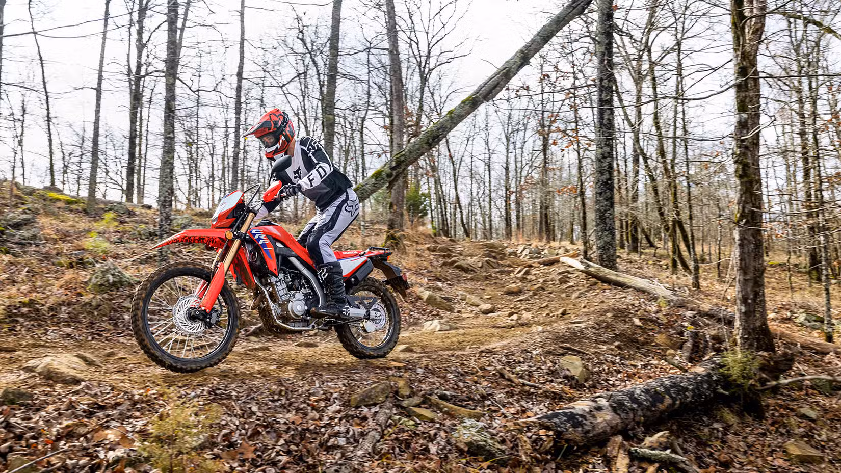 An action shot of the 2025 Honda CRF300L off-roading