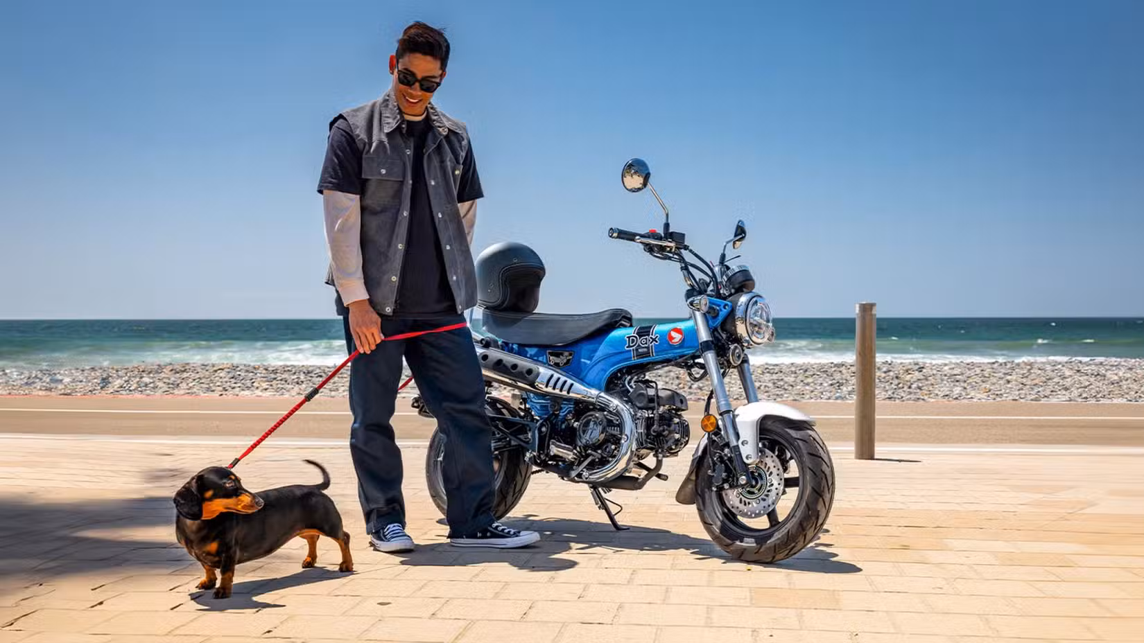 Front three quarter short of a blue 2025 Honda Dax and a Dachsund