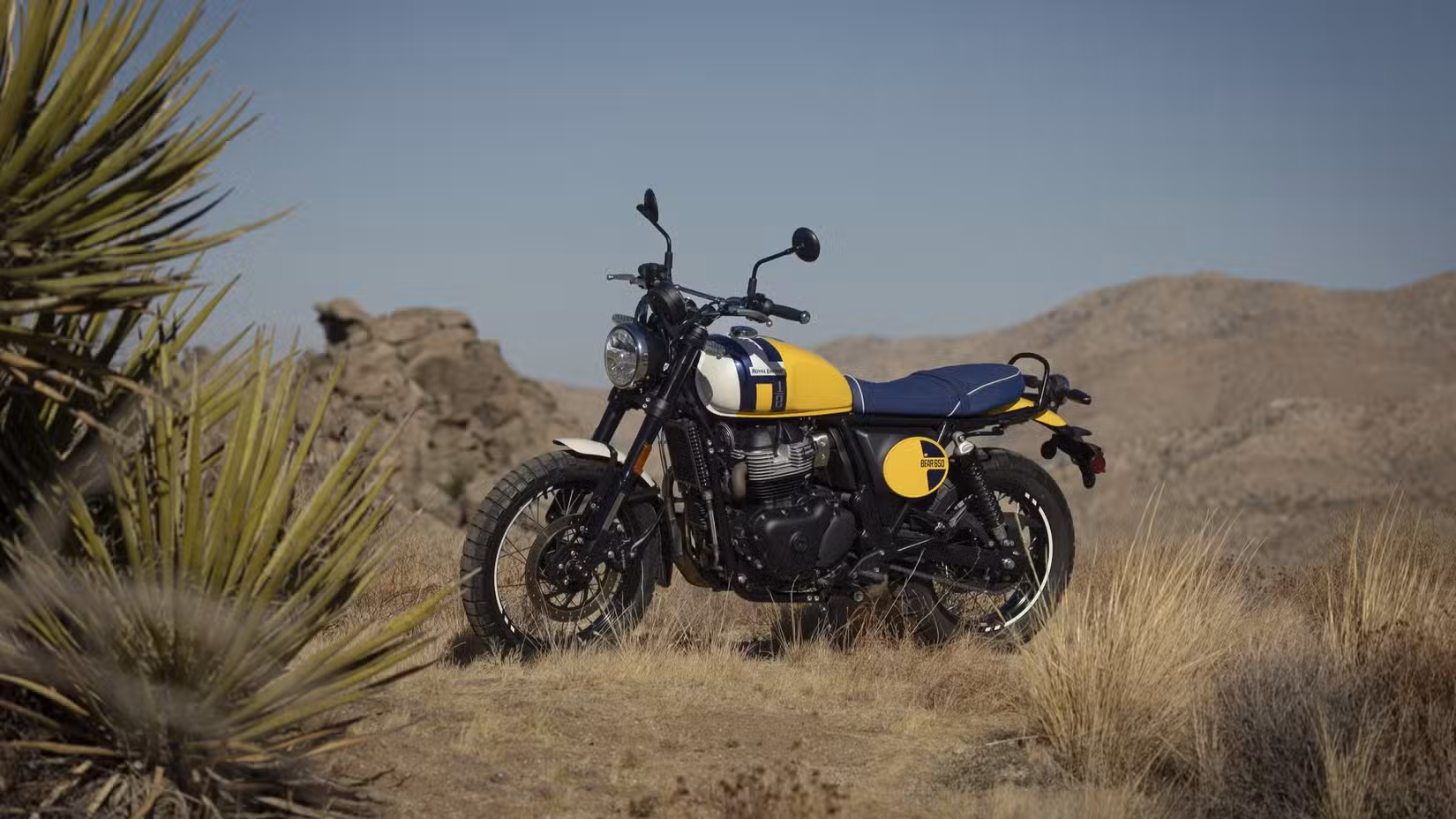 2025 Royal Enfield INT Bear 650 Full