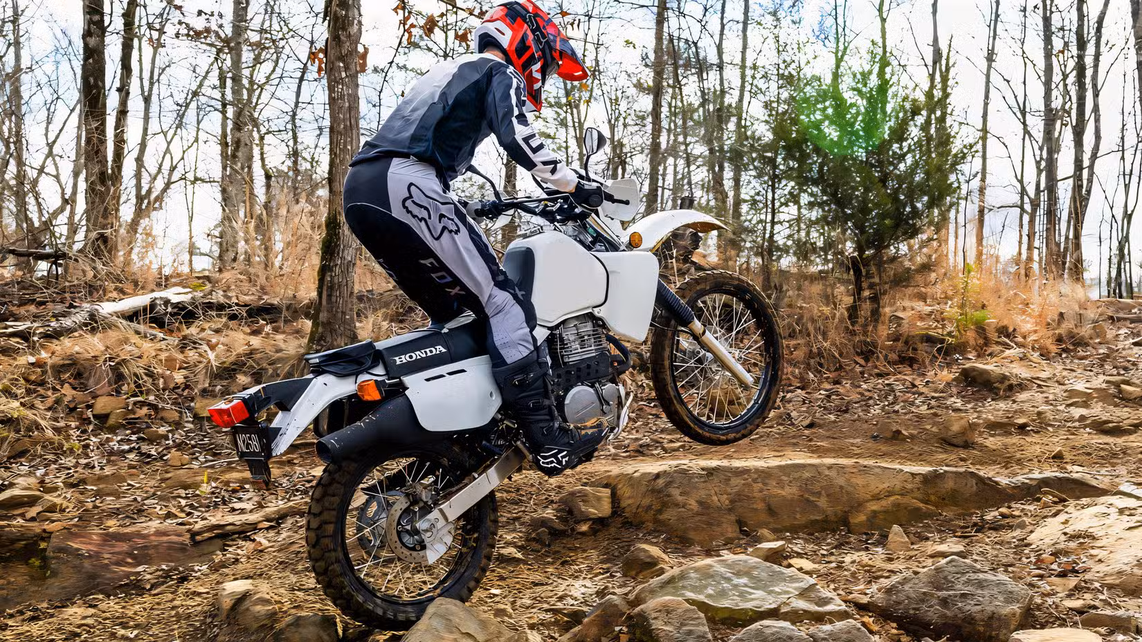 Honda XR650L being ridden on a tricky off-road path with the rider standing up, rear third quarter view