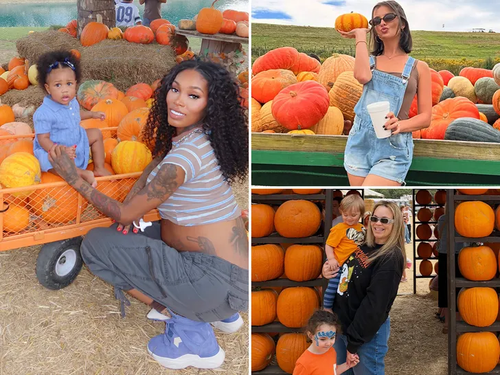 Celebrity Pumpkin Pics 2026