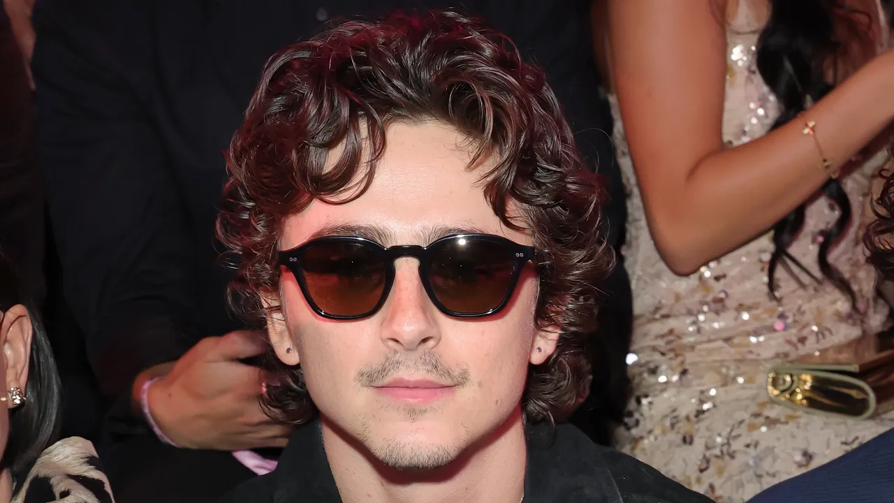 Timothee Chalamet’s Hair Is Finally Back to Normal