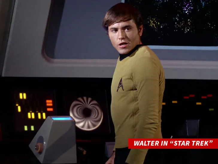 Walter Koening in Star Trek getty