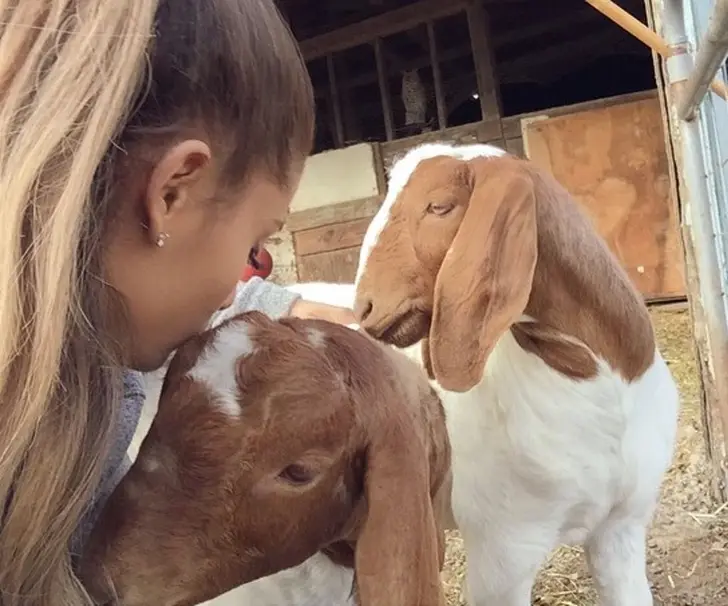 Ariana Grande With Furry Friends