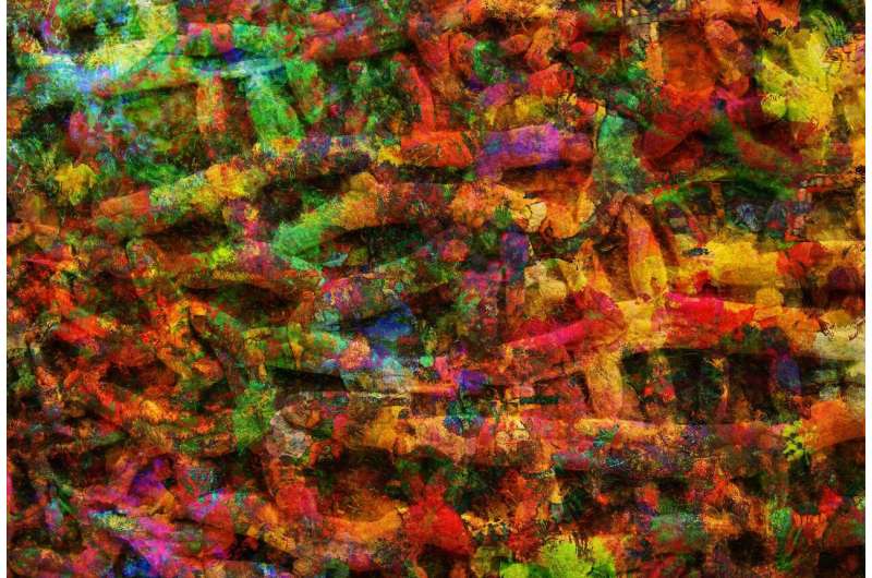 Credit: CC0 Public Domain bacteria