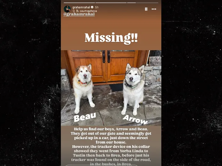 courtney force and graham rahal dogs insta 1