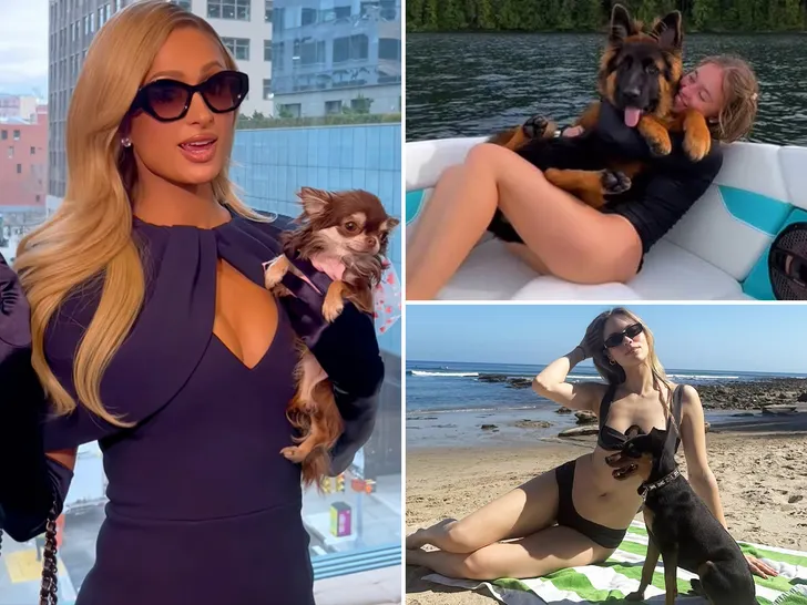 Celebrity Dog Moms