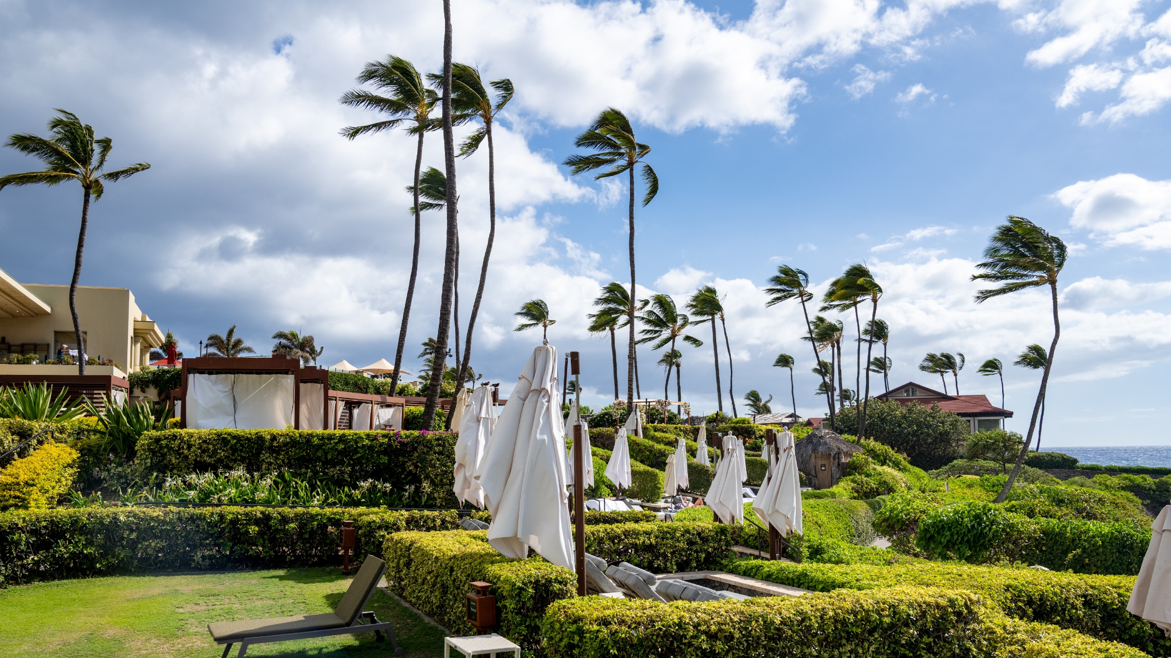 A resort in Hawaii with strong winds blowing on palm trees