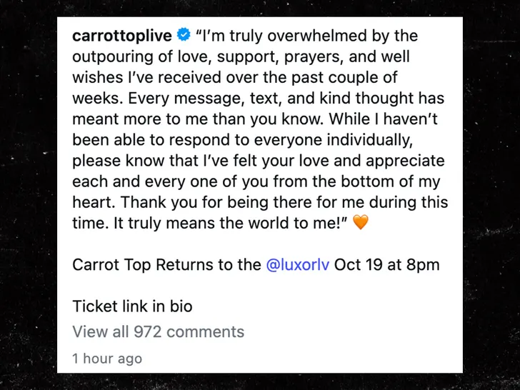 carrot-top-ig-1