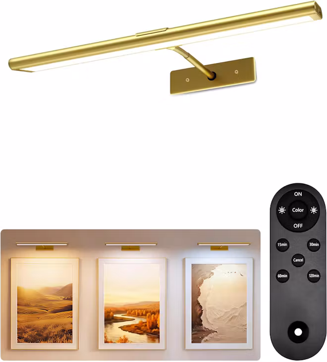 EZVALO Picture Light