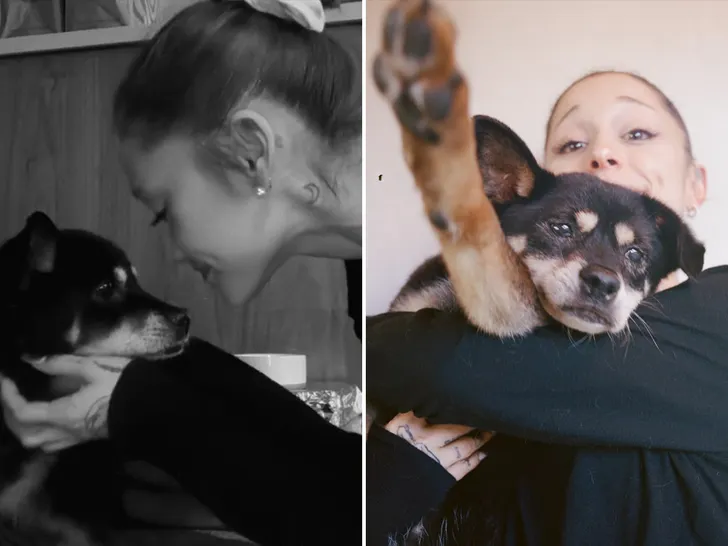 Remembering Ariana Grande's Dog Coco