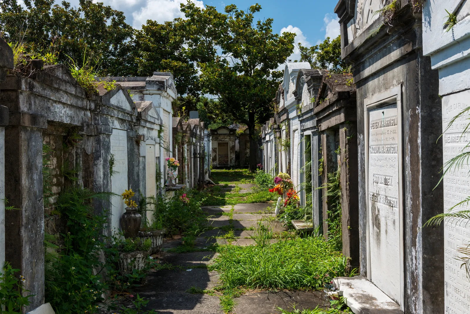 The Best Halloween Travel Destinations for Spooky Sojourns
