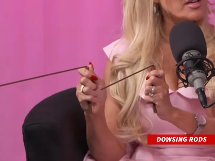 Dowsing-Rods-tmz-1