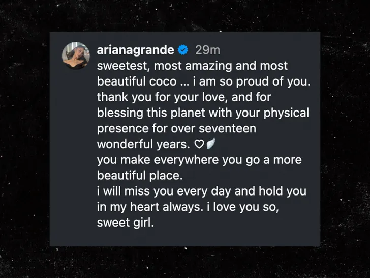 ariana grande dog died instagram