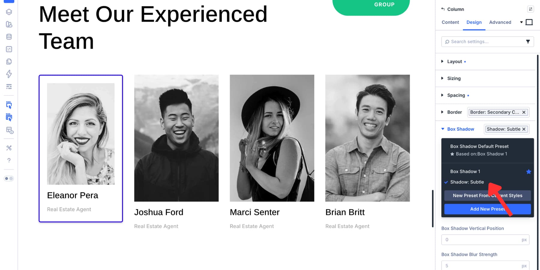A screenshot of the option group presets being used on the website Divi 5