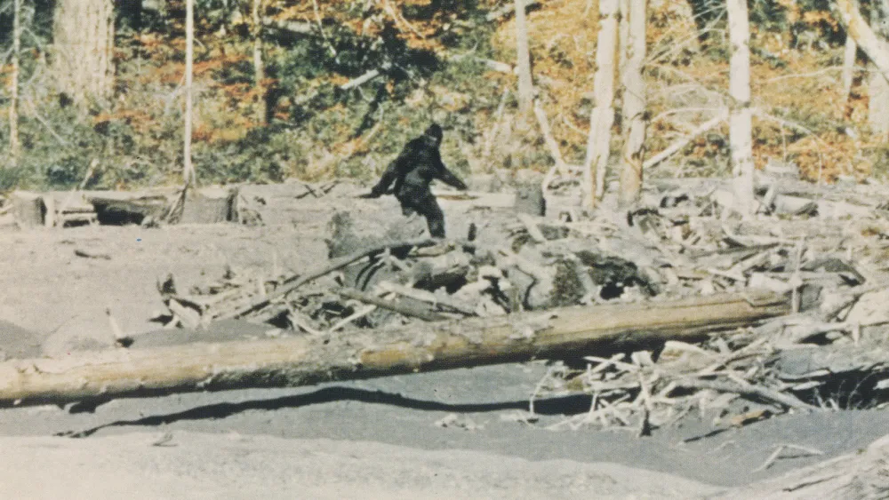Astounding Documentary Uncovers the Truth