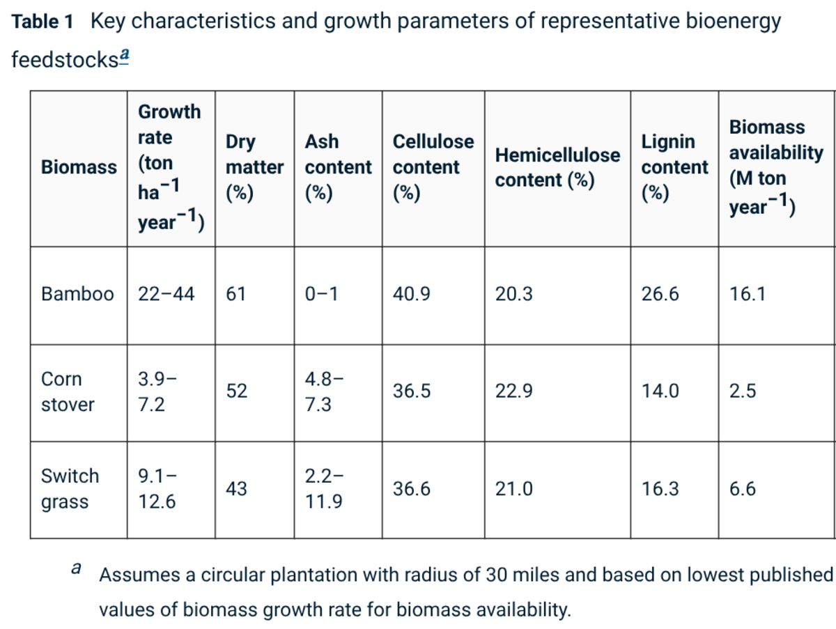 Bamboo biofuel