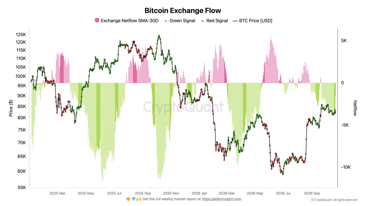 Bitcoin Exchange Netflow