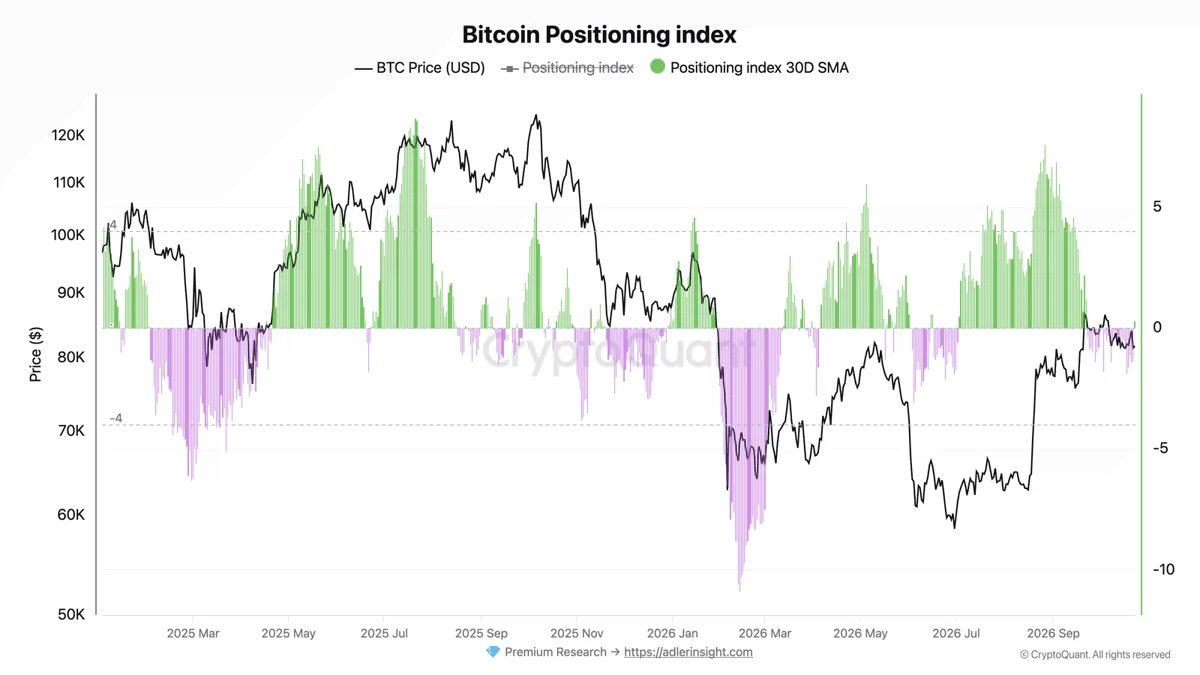 Bitcoin Positioning Index