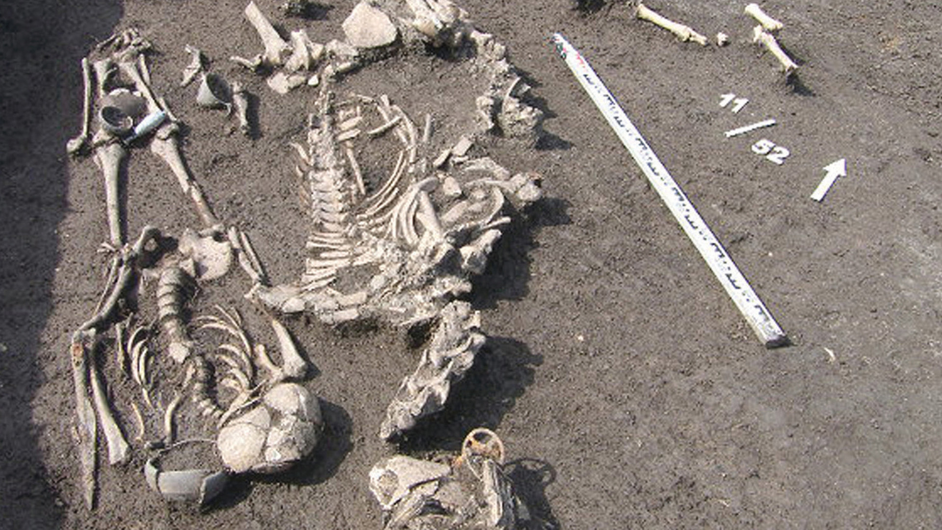 A half unearthed skeleton is seen in brown mud.