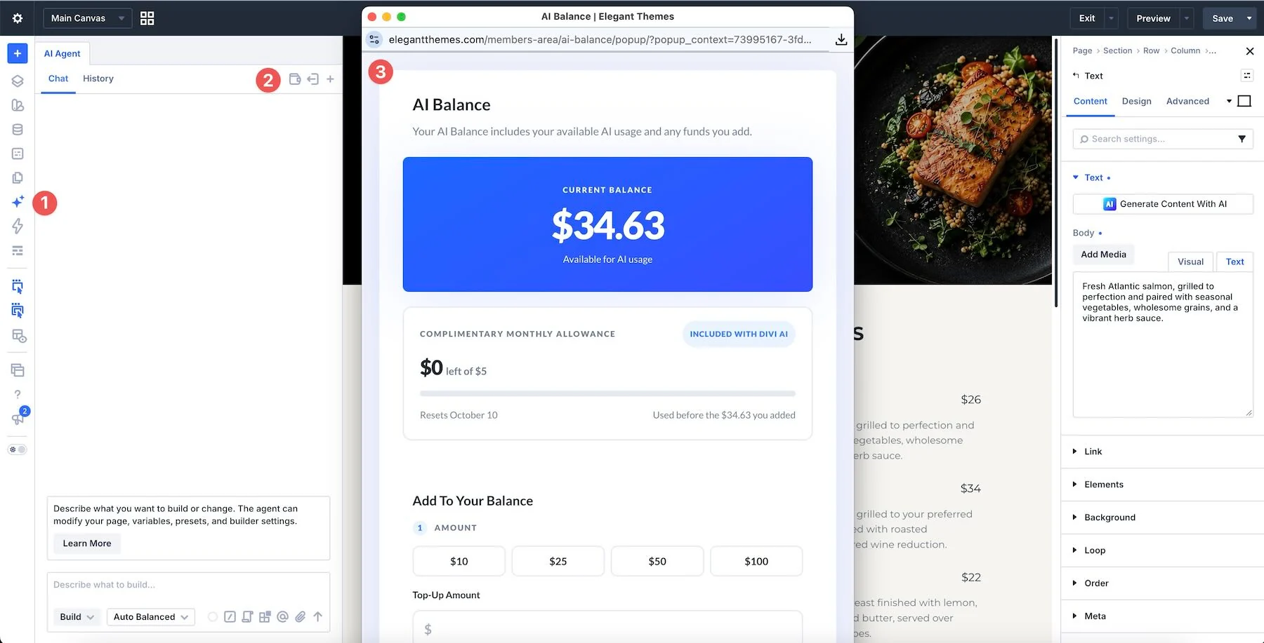 The AI Wallet usage panel in Divi AI Agents