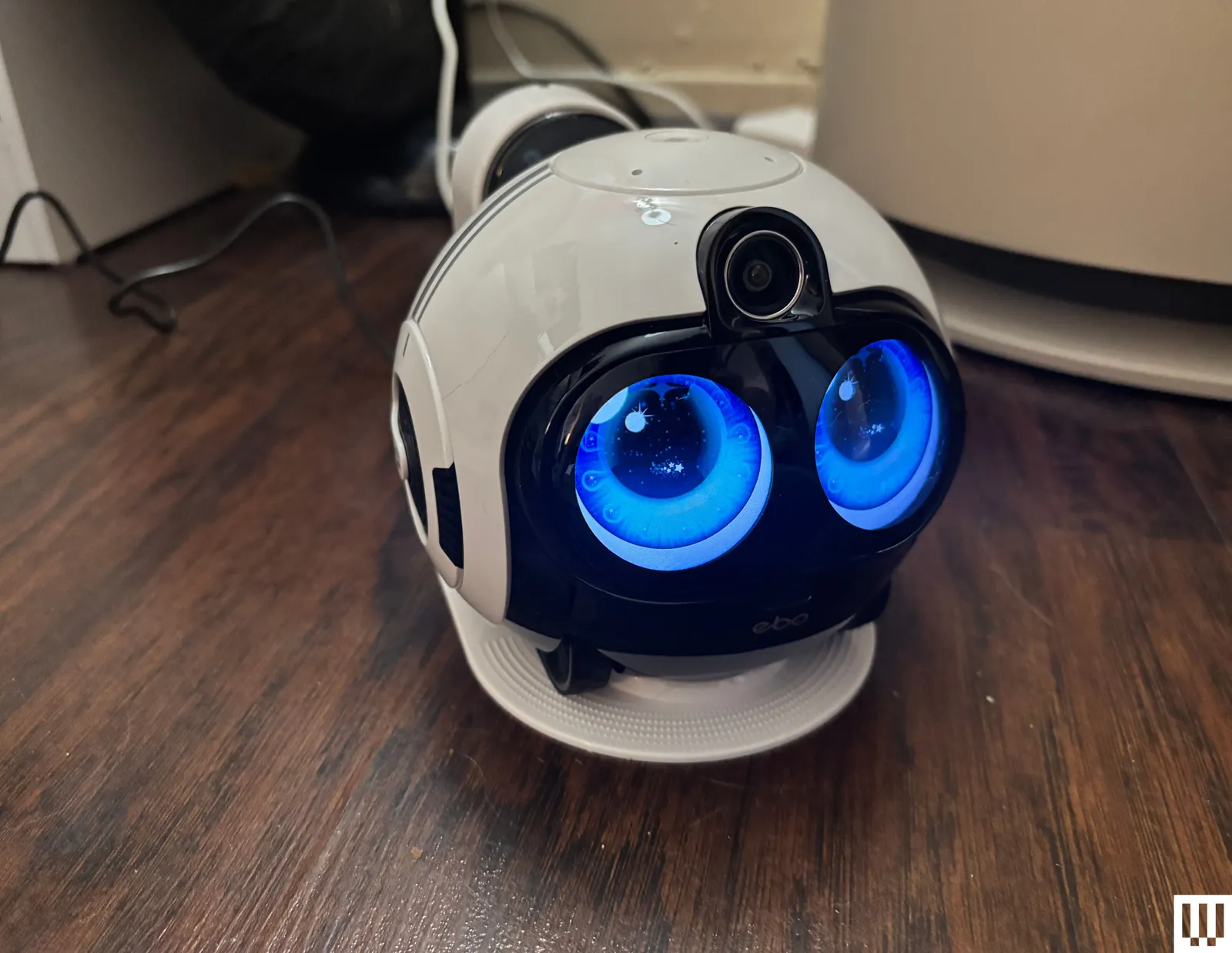 The 10 Best Pet Cameras of 2026 Furbo Petcube and Enabot