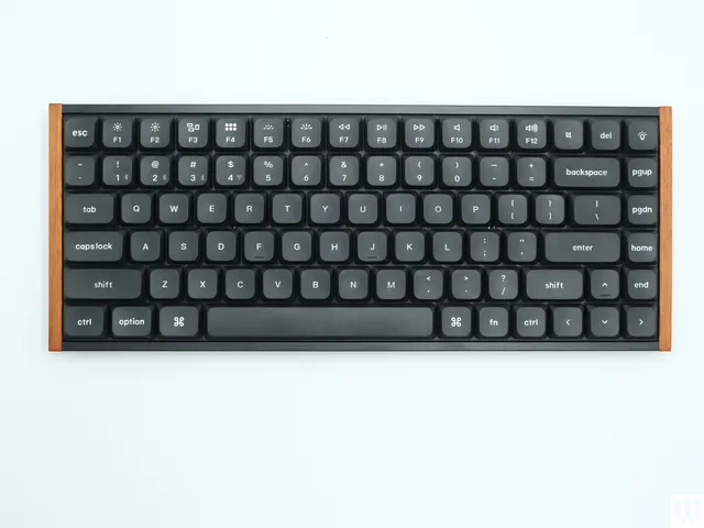Image may contain: Computer, Computer Hardware, Computer Keyboard, Electronics, and Hardware