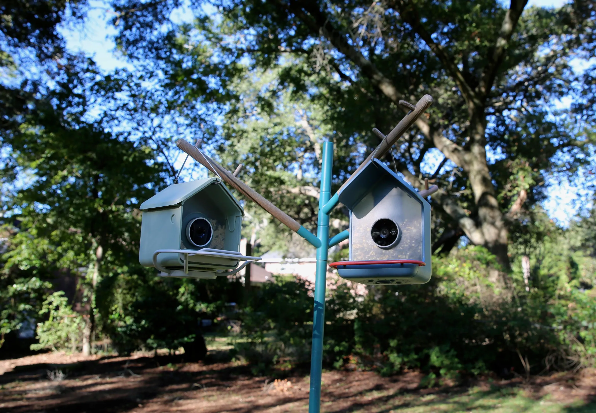 Two bird feeders hanging on a pole in a garden.