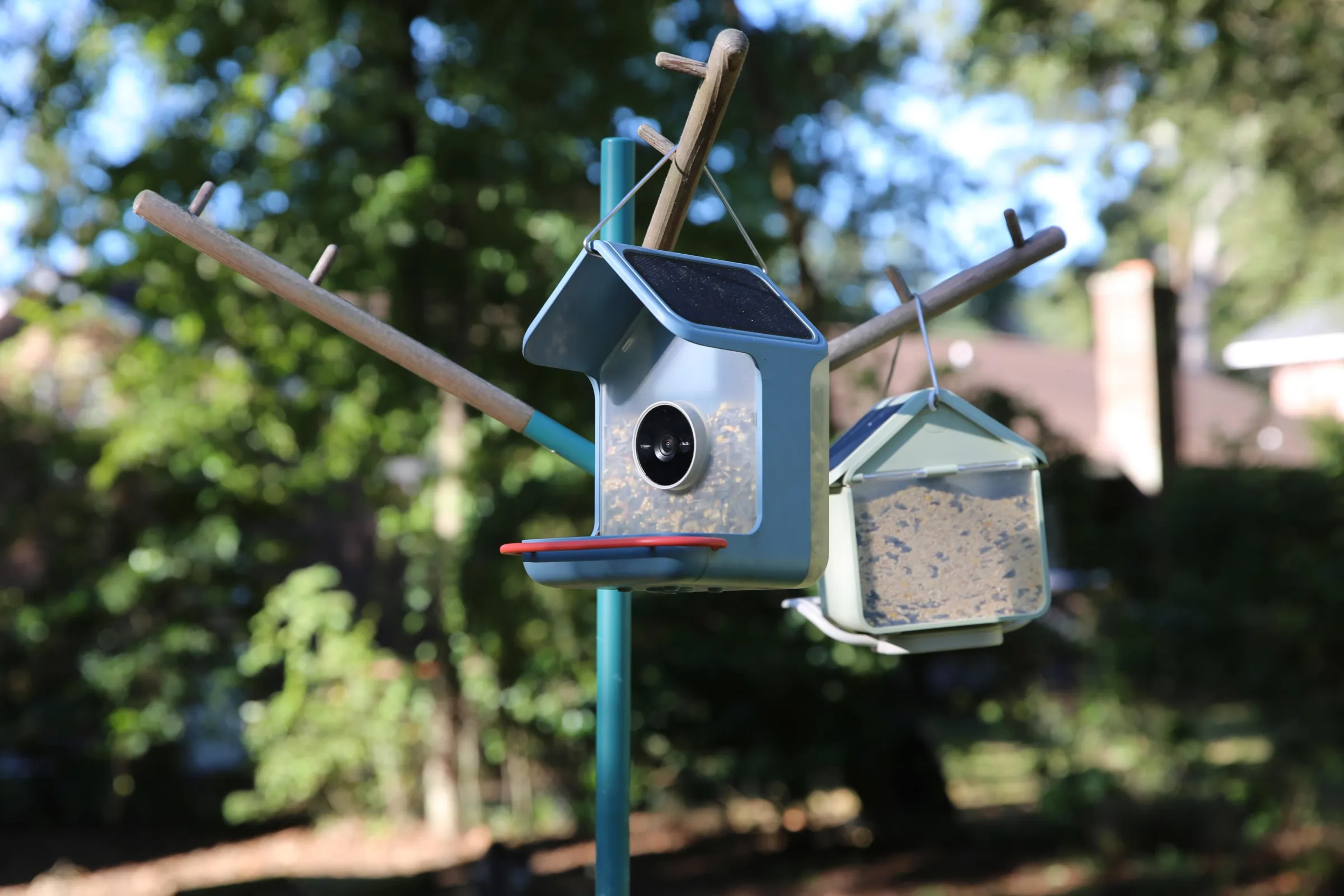 The Home (blue) holds almost twice as much seed as the Nook (green) and uses two solar panels to keep the battery charged.