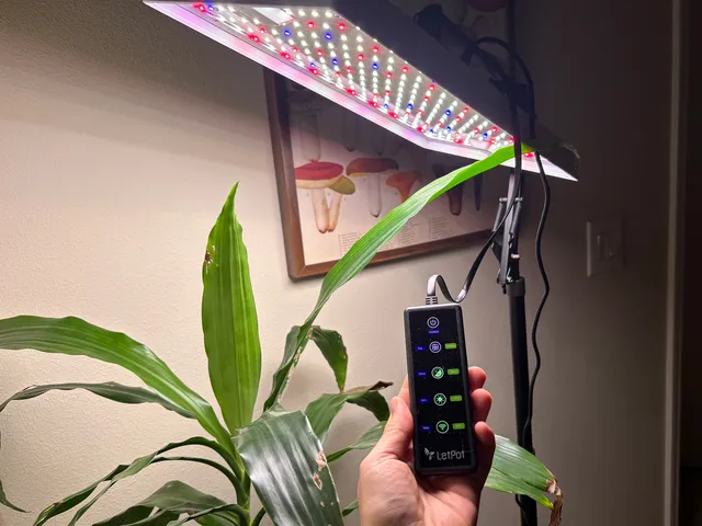 Closeup of a narrow lamp and a person's hand holding the remote in front of a houseplant