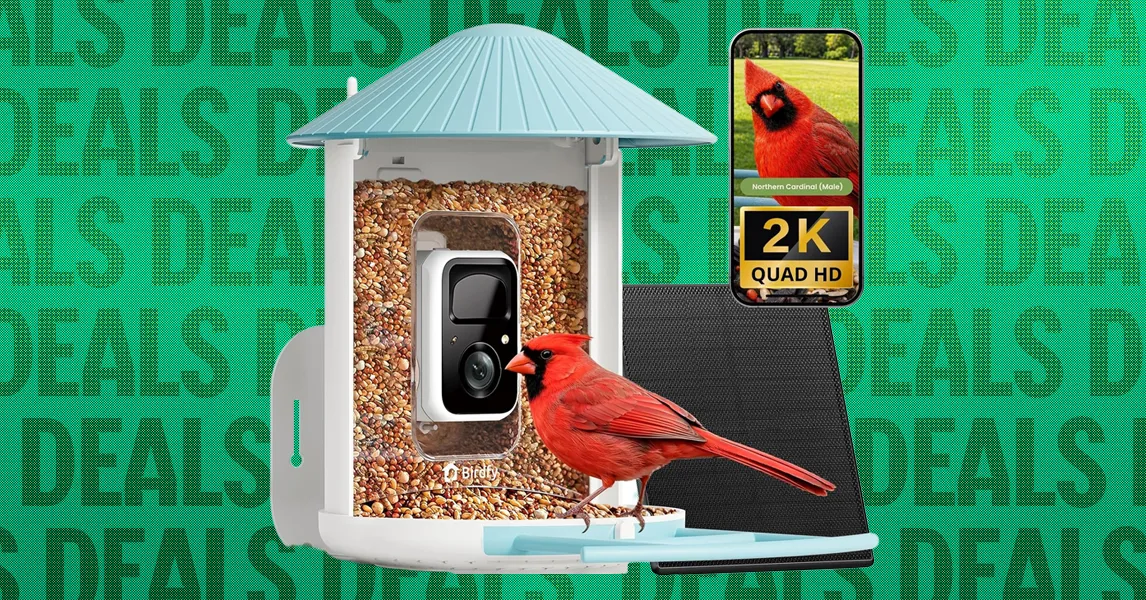 Best Early Black Friday Smart Bird Feeder Deals (2026)