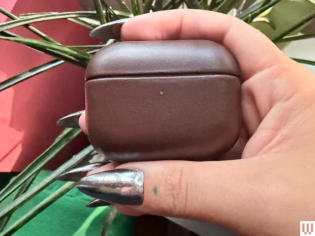 Fingers pinching a small leather case