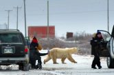 ‘Nuisance Bear’ Trailer: Sundance Grand Jury Prize Winner Turns The Nature Documentary On Its Head