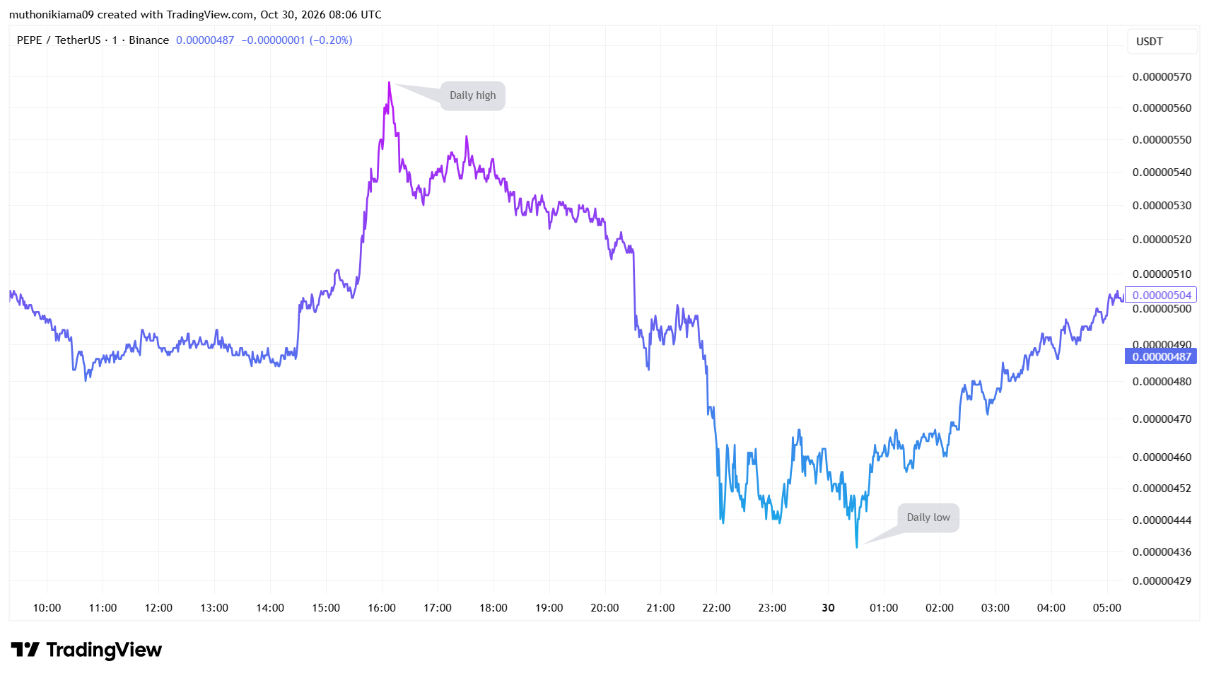 Pepe Coin Price Today