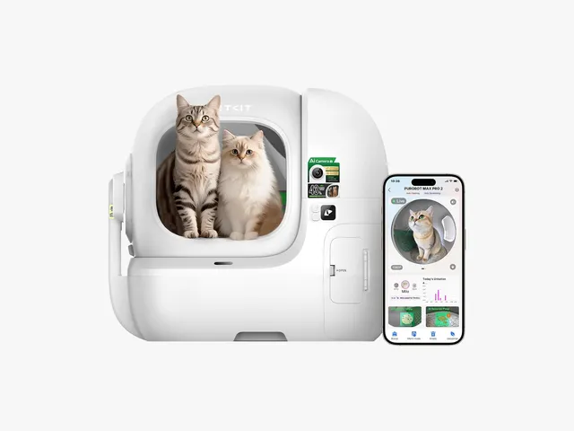 Image may contain: Appliance, Device, Electrical Device, Washer, Computer Hardware, Electronics, Hardware, Animal, and Cat