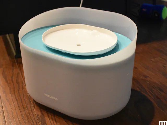 White oval-shaped pet fountain with small tray on top to catch the cascading water