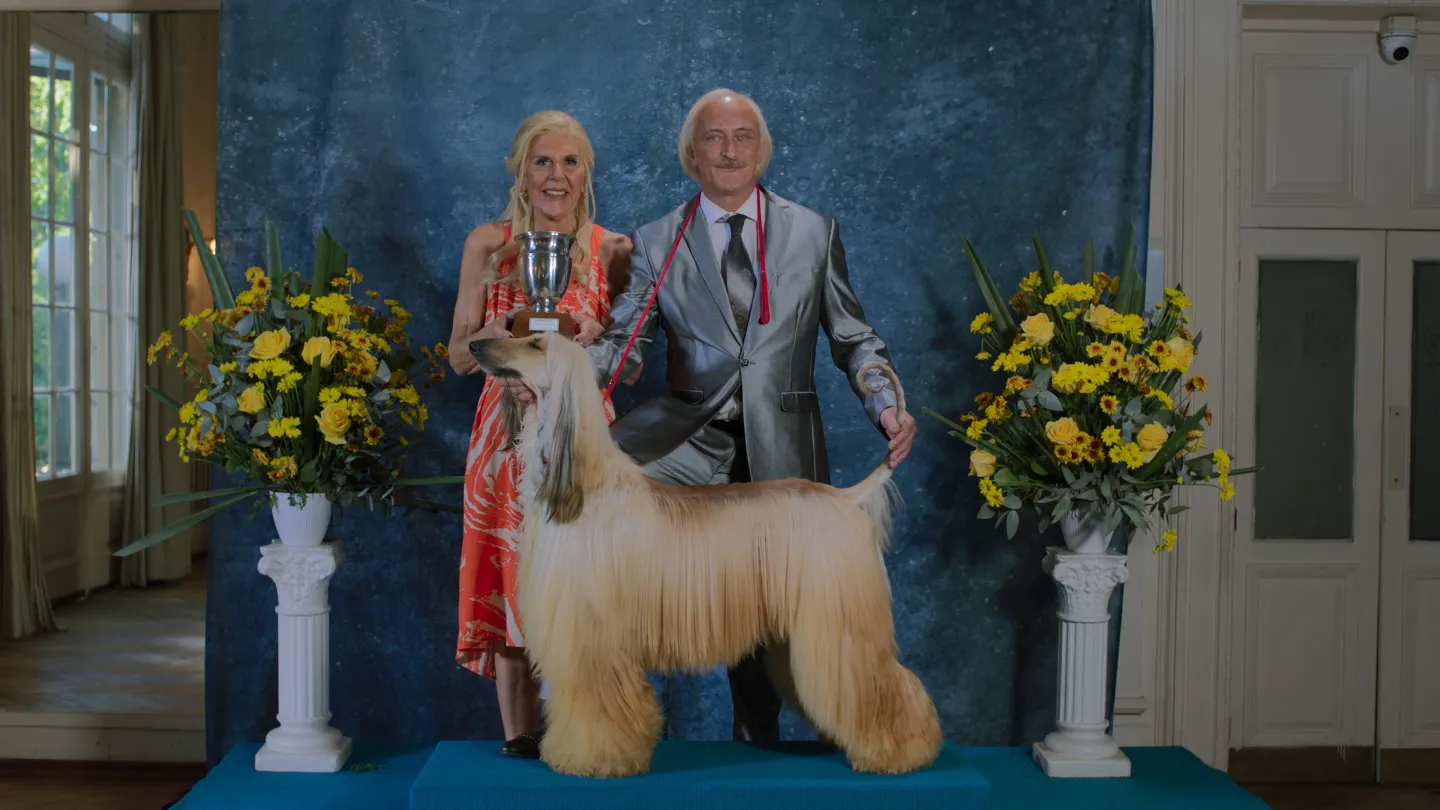 Show Dog Custody Battle Movie at BFI LFF 2026