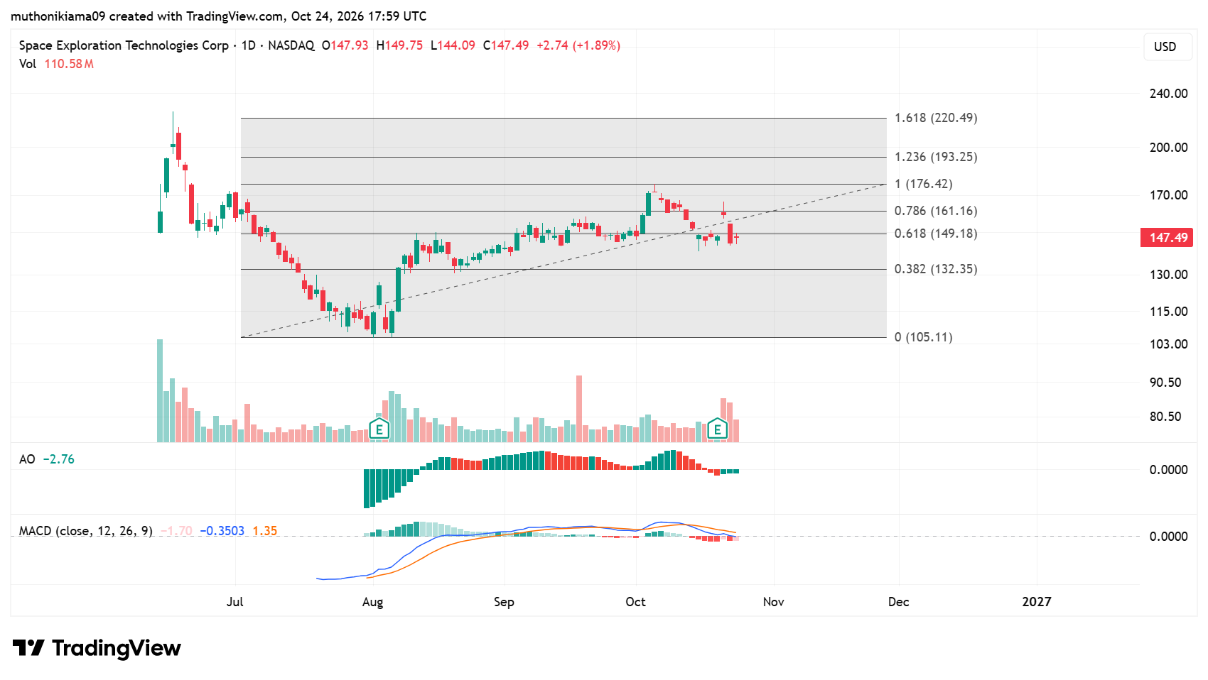 SpaceX Stock Price Tumbles