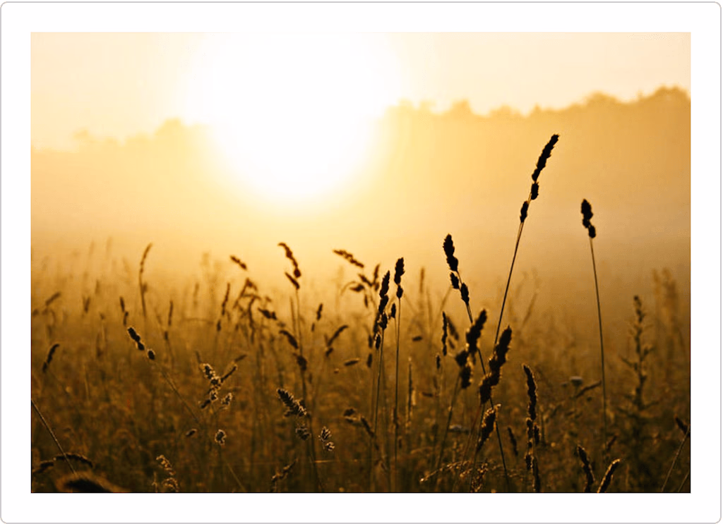 Sunlight Photoshop Actions