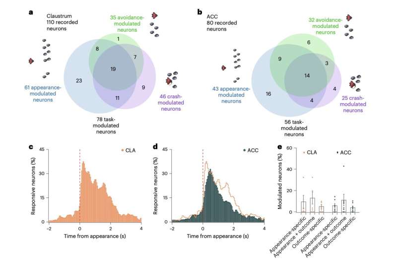 A poorly understood brain region tracks the gap between expectations and reality