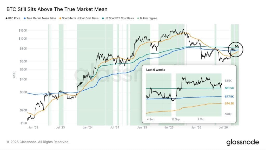 Bitcoin ETF data chart by glassnode