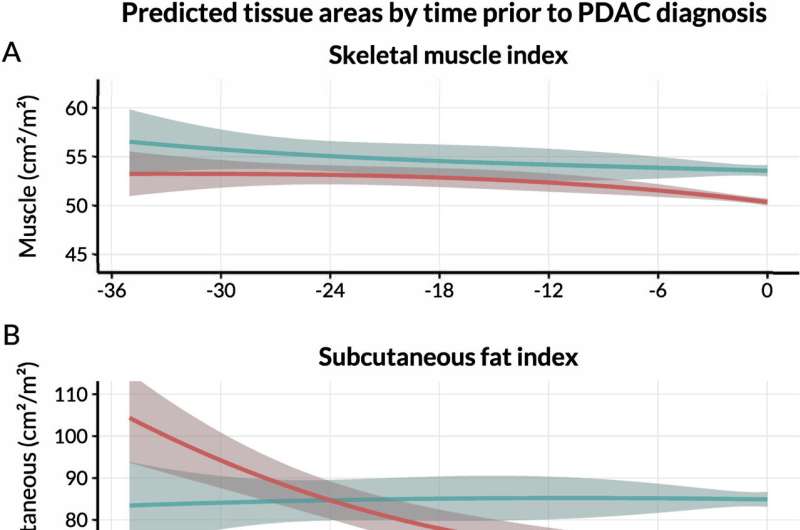 Body composition changes on CT scans may help identify pancreatic cancer risk