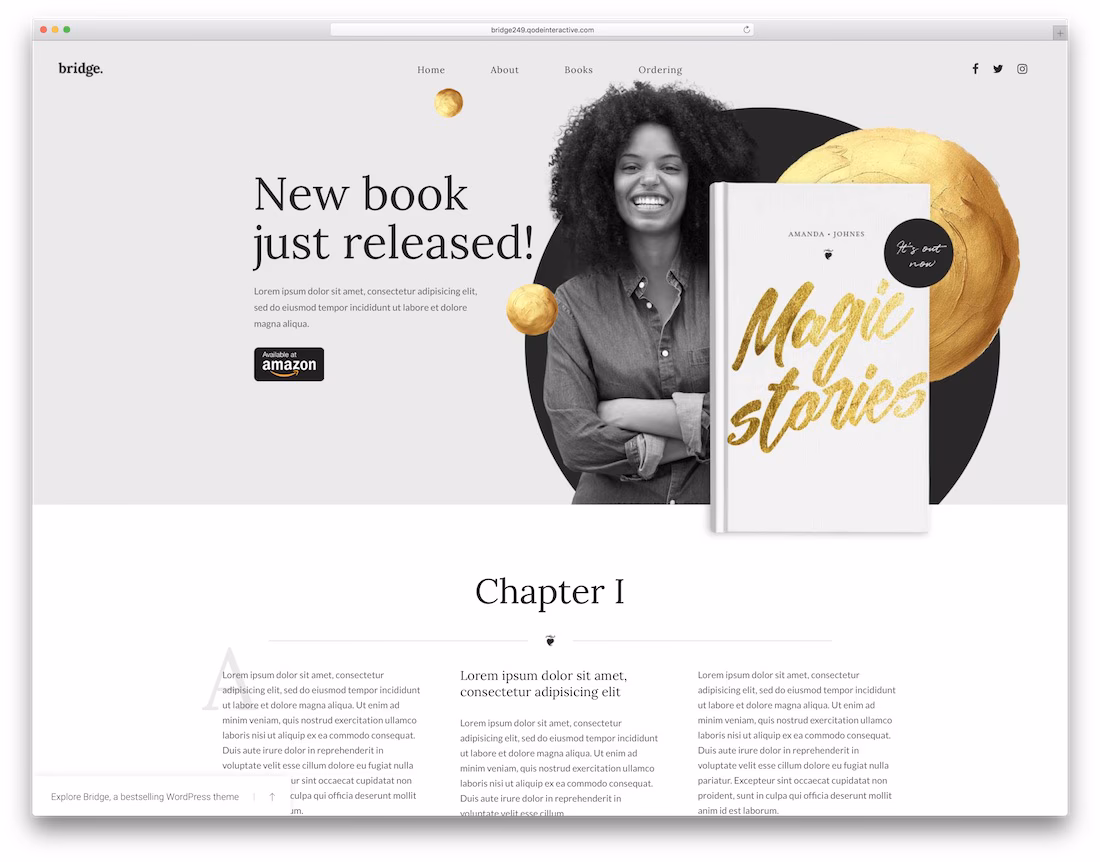 bridge landing page wordpress theme